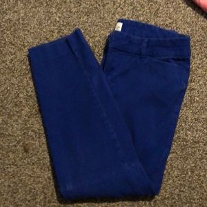 Blue pixie pants